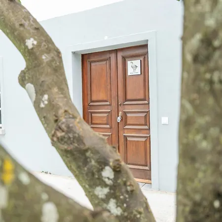 Casa De Apartment